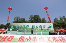 湖北南漳：以茶为媒 奏响农旅融合新乐章