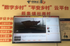 湖北枣阳杜岗村：乡村治理变“智理”