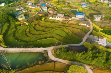 湖北竹溪周家坝村：盘活山林 兴业富民