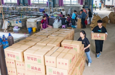 湖北嘉鱼：包揽全国九成斑点叉尾鮰苗种市场