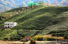 湖北竹山：致力打好产业牌 绘就旅游新画卷