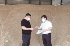 中国邮政储蓄银行湖北省分行：打好金融服务组合拳 助力夏粮颗粒归仓