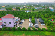 湖北枝江：“甜蜜产业”促进农旅深度融合