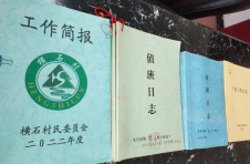 湖北通山：“小日志”托起“大民生”