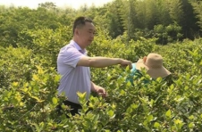 湖北赤壁张司边村：巧借东风奔富路