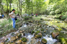 湖北丹江口市大沟林区：昔日穷山沟 变身热游地