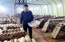 湖北房县：返乡“创客”为乡村振兴添动力