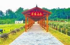 湖北红安观音阁村：红色资源变成绿色财富
