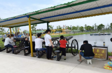湖北潜江：端午旅游市场回暖 乡村户外休闲乐趣多