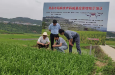 湖北房县：田间学校助力产业振兴