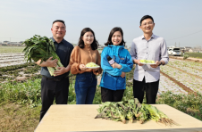 湖北当阳群益村：建强堡垒 擎起亿元产业大旗