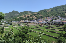 湖北郧西钟坪村：“赢”在产业，“好”在宜居，“稳”在治理