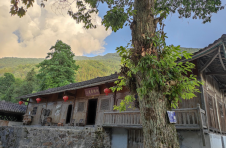 湖北鹤峰东洲村：田家院子的蝶变之路