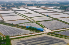 湖北老河口市李楼镇：生态种养开新路 大虾卖高价 香米也俏销