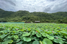 湖北宣恩：出台集体经济绩效奖评办法 助力乡村振兴