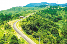 湖北随州曾都区：一条路串起乡村新貌