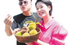 湖北罗田：换个卖法，“带刺”的板栗供不应求