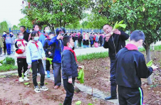 湖北南漳：学生变身小农夫 “承包”菜园来种菜
