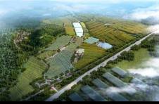 湖北黄石：支部引路产业铺路 共同缔造幸福路