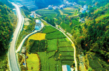 湖北十堰茅箭区：一路皆景促振兴
