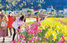 湖北十堰张湾区：百年古镇兴起“假日经济”