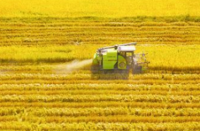 湖北黄石：去年农业增加值增长5.3%，位列全省第一方阵